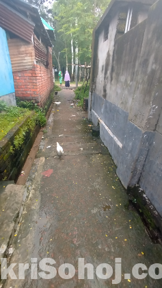 ৩ শতক জায়গা বাড়িসহ বিক্রয়